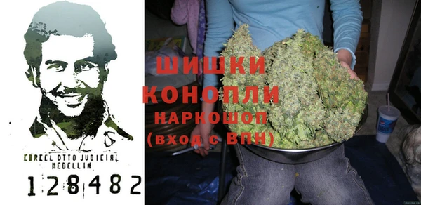 гидропоника Бородино