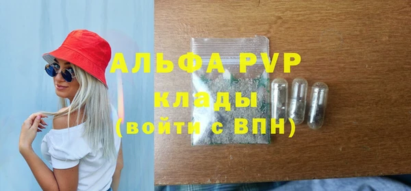 гидропоника Бородино