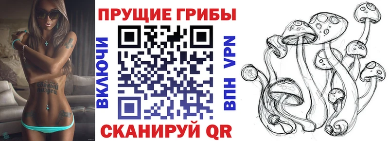 Псилоцибиновые грибы мицелий Гудермес